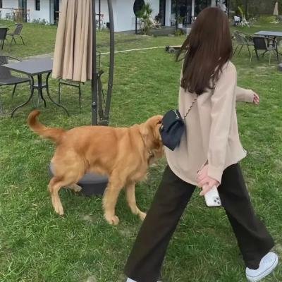 缔创学校